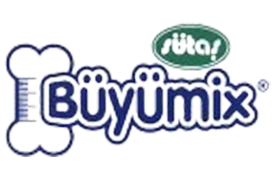 BÜYÜMİX